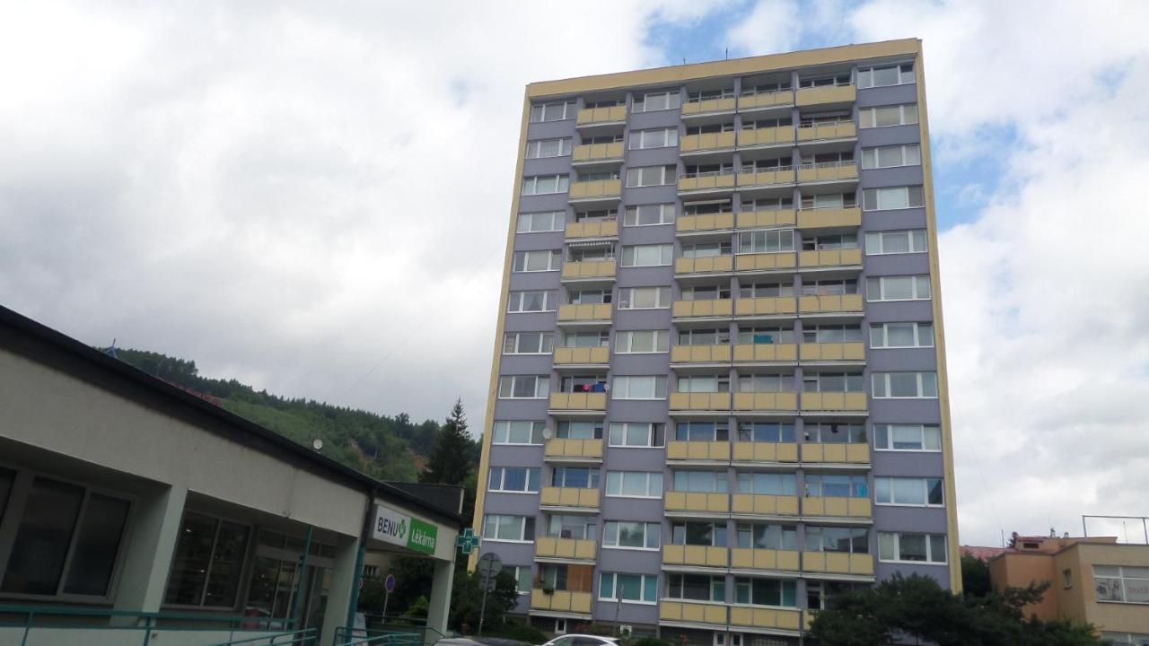 Byt S Jedinecnym Vyhledem Decin Exterior photo
